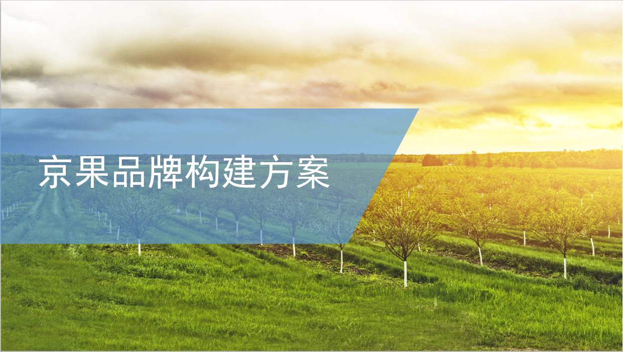 京果品牌構(gòu)建方案